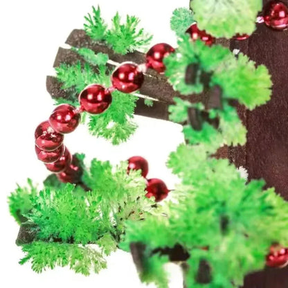 SproutFest – Wyhoduj własną choinkę dla dzieci w wieku od 6 lat